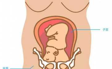 俄军并非一无是处，反而可圈可点！细数俄乌战争的三大认识误区
