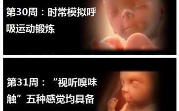 保加利亚移民：入籍保加利亚有什么优势？