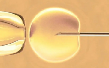 上野寻踪：倾听历史与艺术的脚步声