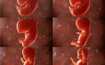 紧急通知！包机接返中国公民！深夜，乌俄军队发生激烈交火......