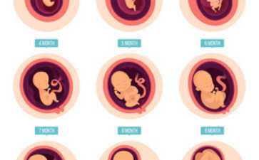 司马南：不愿承认犹太血统，马克思是咋想的？