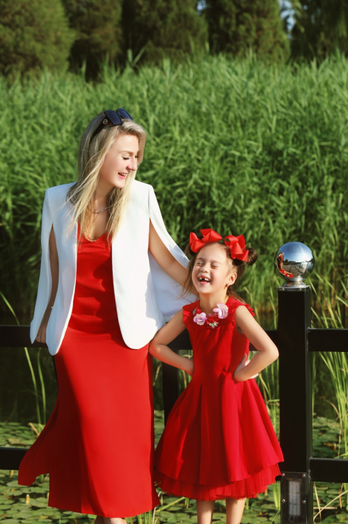 凝心聚力画出侨界最大同心圆 团结奋斗共谱高质量发展新篇——贵州省侨联五年工作综述