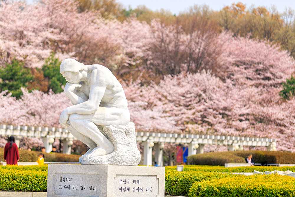 计划下半年参军的同学，这些事情要注意→