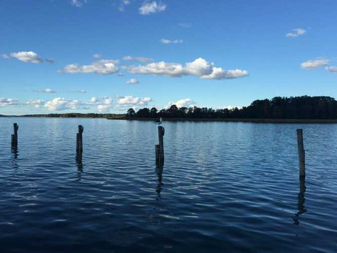 英国人凯文的烘焙梦想：“想让更多中国人吃到地道的英国面包”