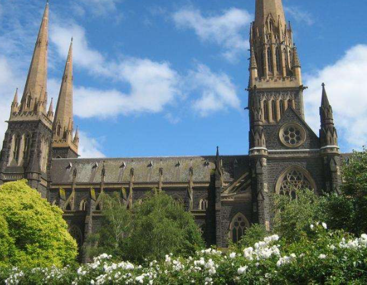 艺术类、体育类公费师范生批次、志愿设置及投档情况