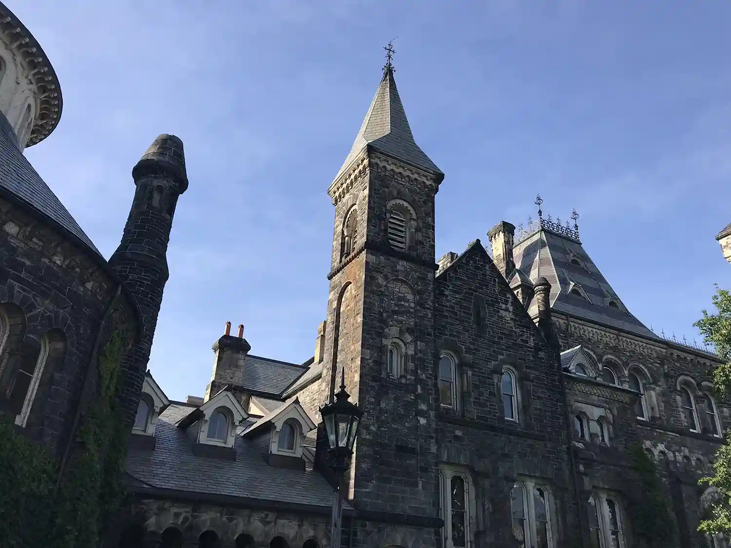 加拿大留学生带大白兔奶糖入境，被海关当成兔肉，列入黑名单？