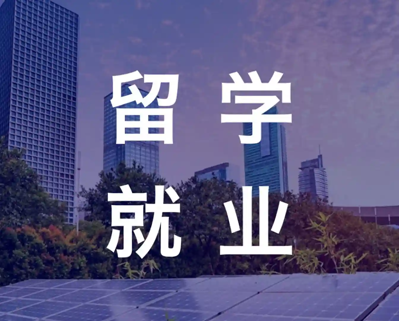 留学生考公篇：国家税务系统2024年拟录用公务员名单