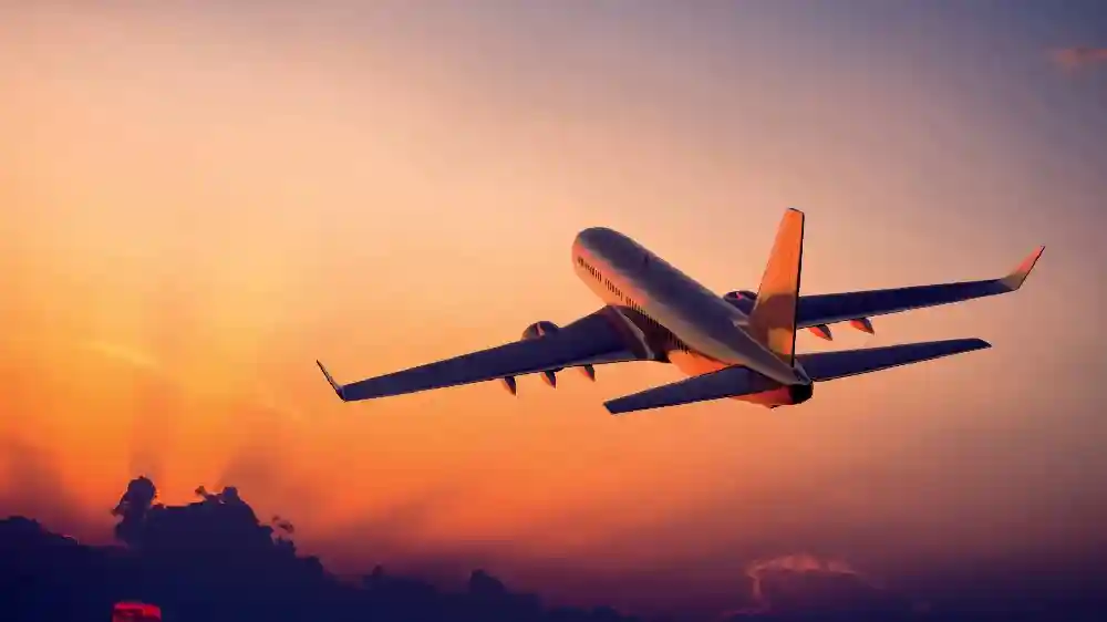 留学到底有多孤独？江疏影在一次采访中是这样说的，你想象得到吗