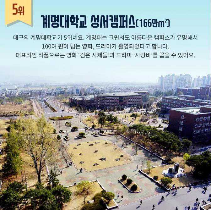 欧洲需探求安全困境的治本之策