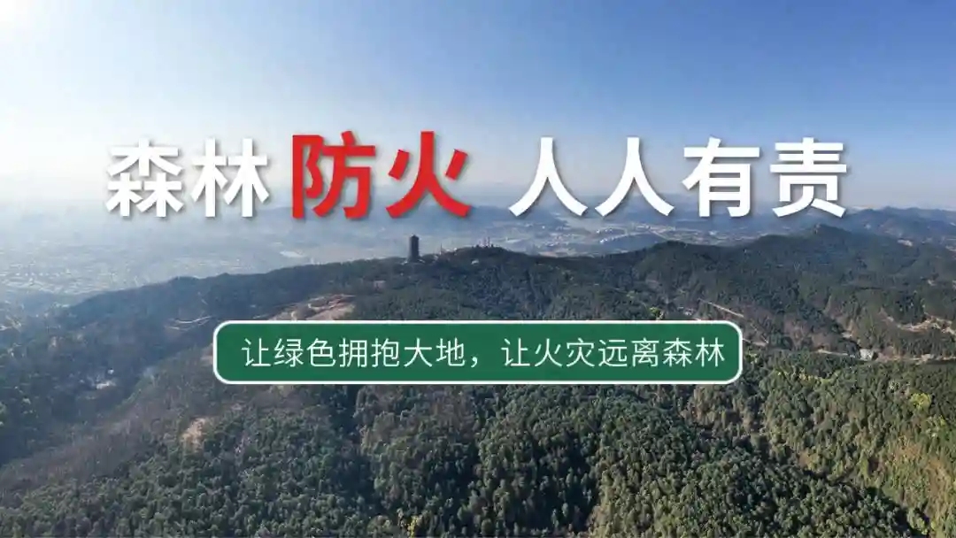 曲靖市2024年个人创业担保贷款办理指南