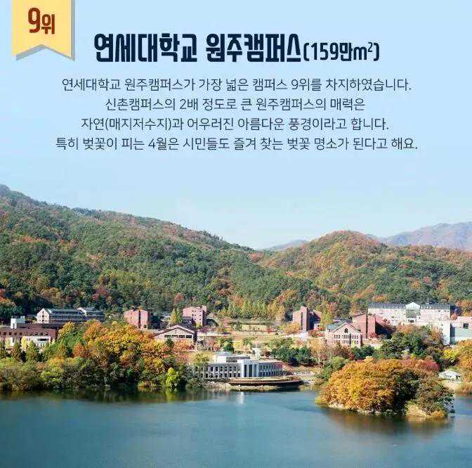 记录生态春城丨德国人韦南珊：我爱昆明！希望昆明越来越好