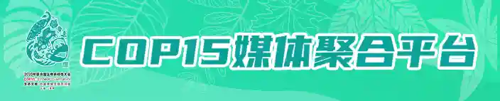 记录生态春城丨德国人韦南珊：我爱昆明！希望昆明越来越好