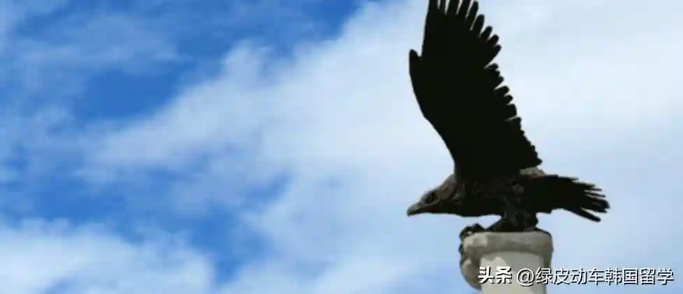 韩国留学需要英语成绩吗？这些大学和专业都需要